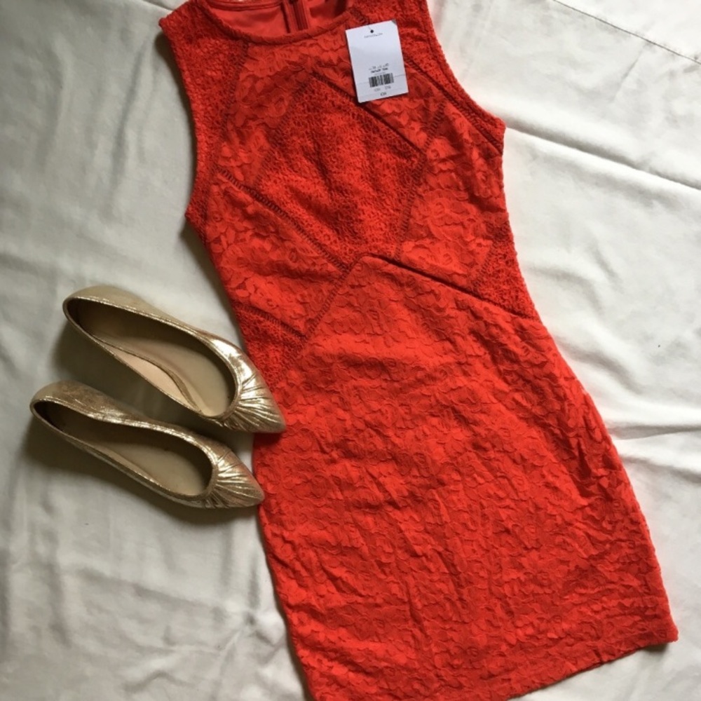 NWT Top Shop Dress. 💕